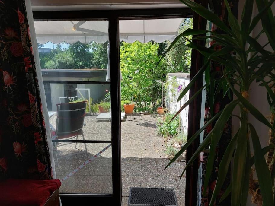 Grosszuegige Wohnung Mit Terrasse Wuerzburg, Zell Zell am Main Eksteriør billede